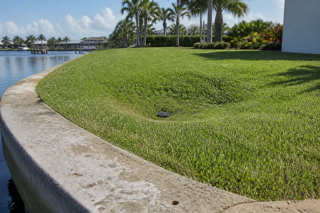 A shallow depression in a lawn a few feet back from a seawall