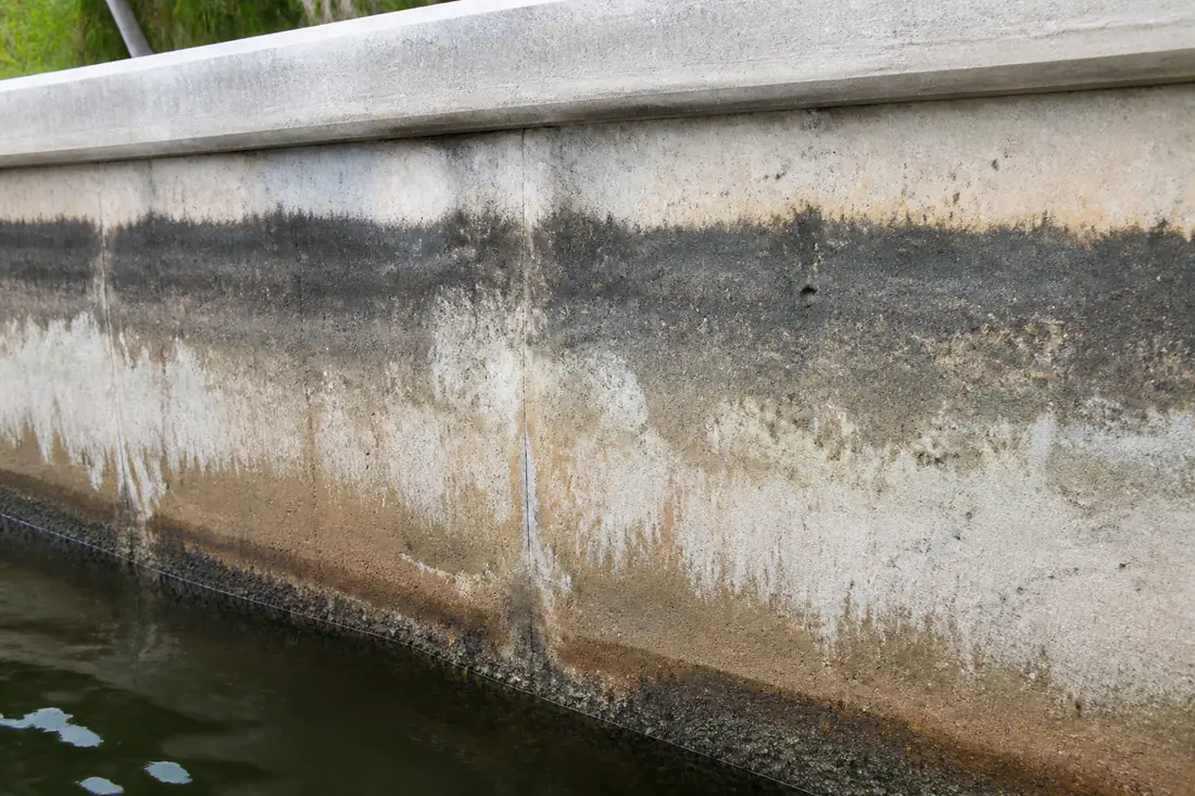 The band of a seawall between the waterline and the cap