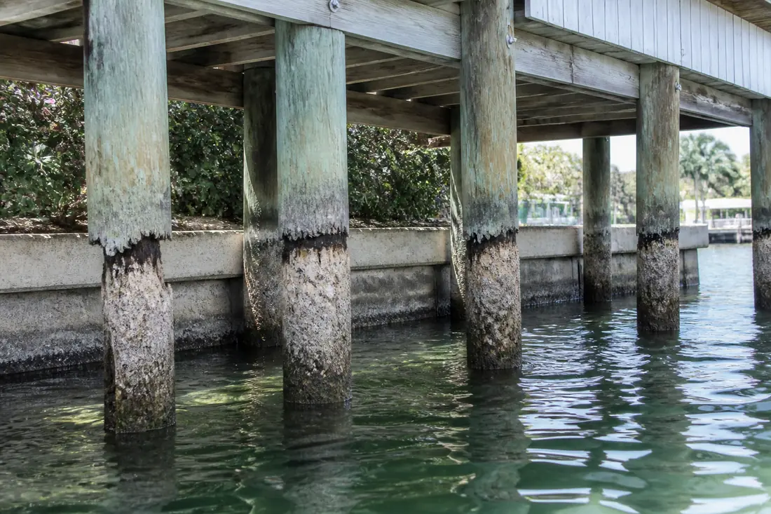 Piling Repair and Replacement project